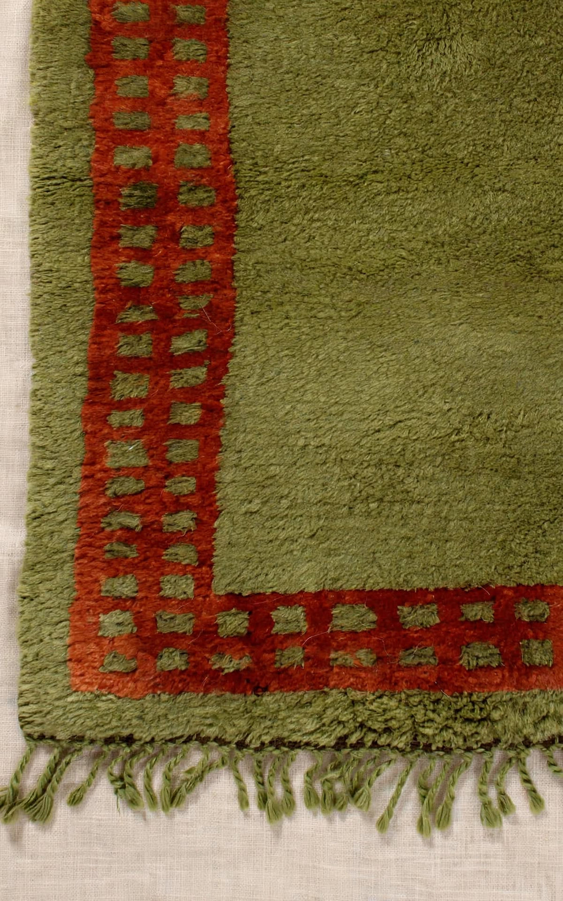 Earthy Olive Green Moroccan Berber Wool Rug with Rust Border, handmade in Bhadohi India – photo 14